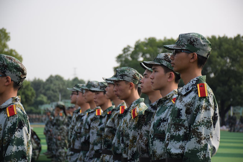 图片10 图片10