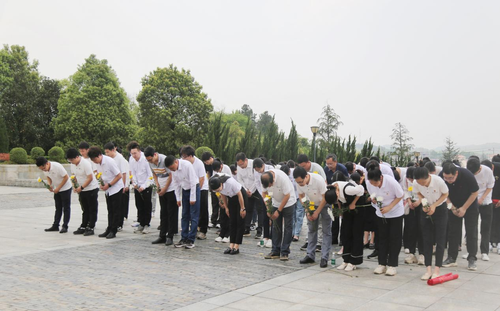 图片3