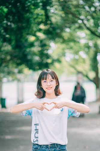 黄鹂 黄鹂