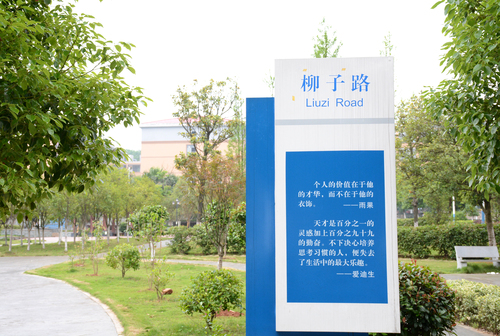 柳子路