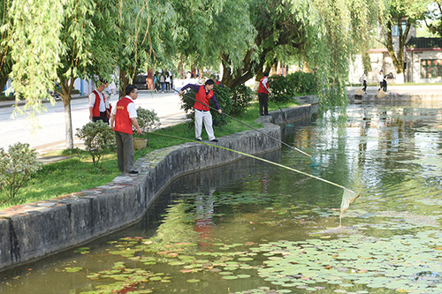 DSC_2754x DSC_2754x
