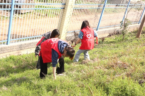 微信图片_20230305223514 微信图片_20230305223514