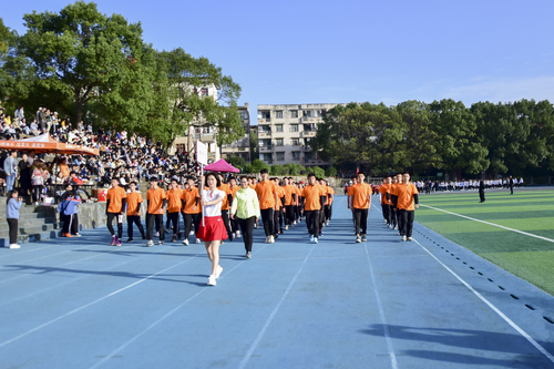 DSC_2135 DSC_2135